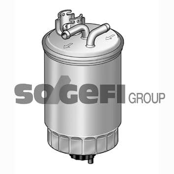 CFFP5219.jpg