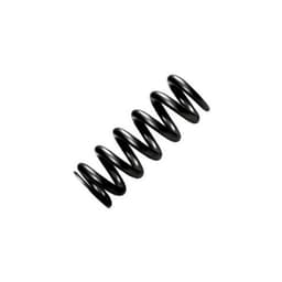CoilSpring.jpg
