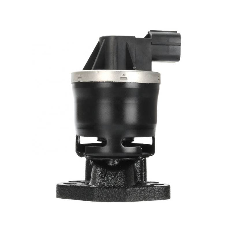 EGR413-5511765.jpg