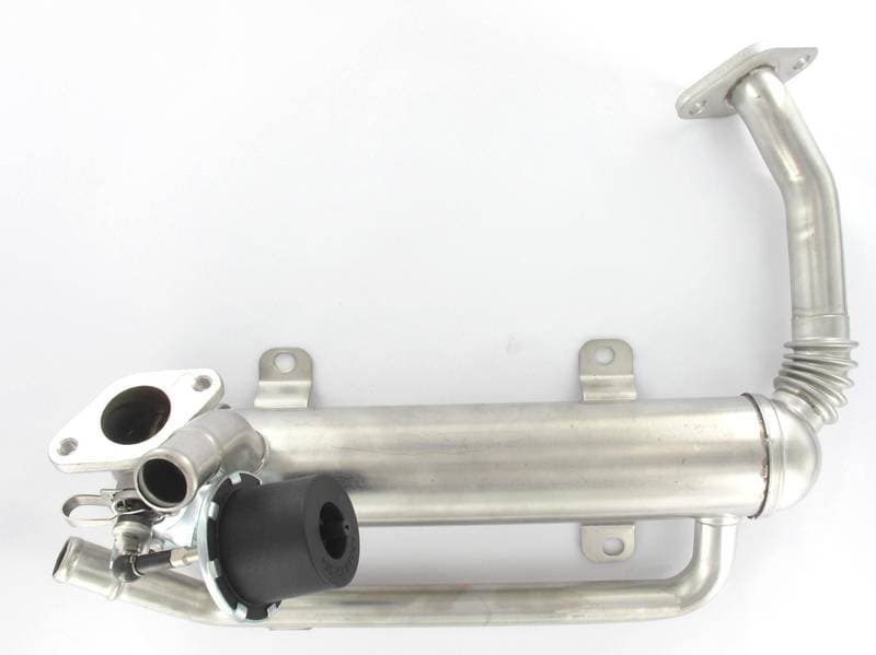 EGR447-1357017.jpg